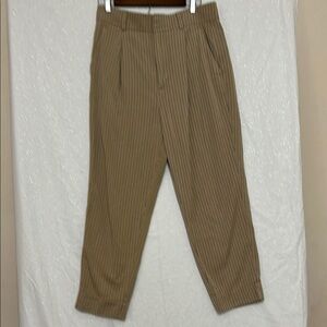Everlane Tan Pinstripe Pants. Size 10